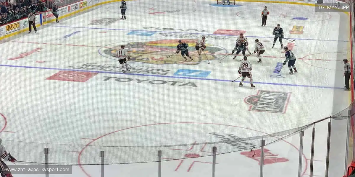 高清直播,实时互动,身临其境!🎯